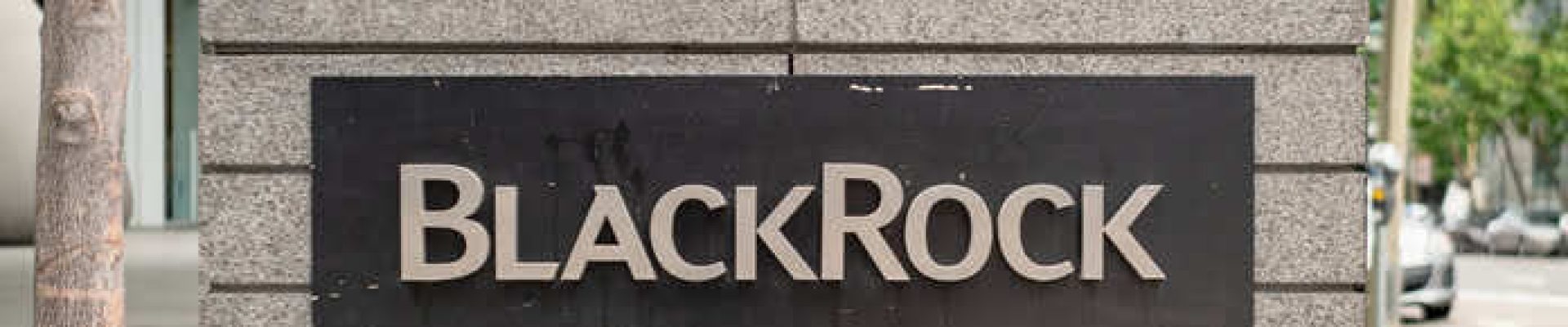 BlackRock-Stock.jpg